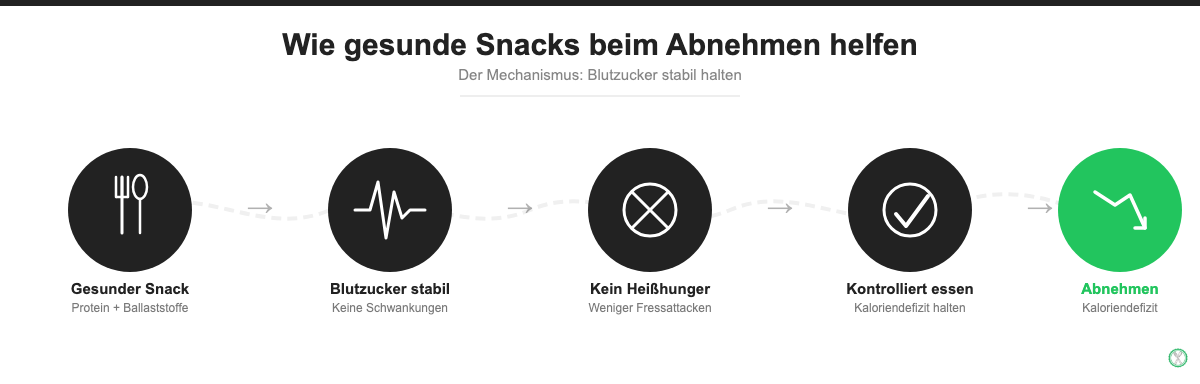 Infografik: Wie gesunde Snacks beim Abnehmen helfen - Mechanismus von Blutzucker bis Kaloriendefizit