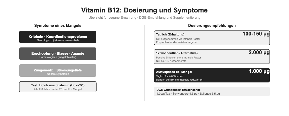 Vitamin B12 Dosierungsempfehlungen und Mangelsymptome im Uberblick
