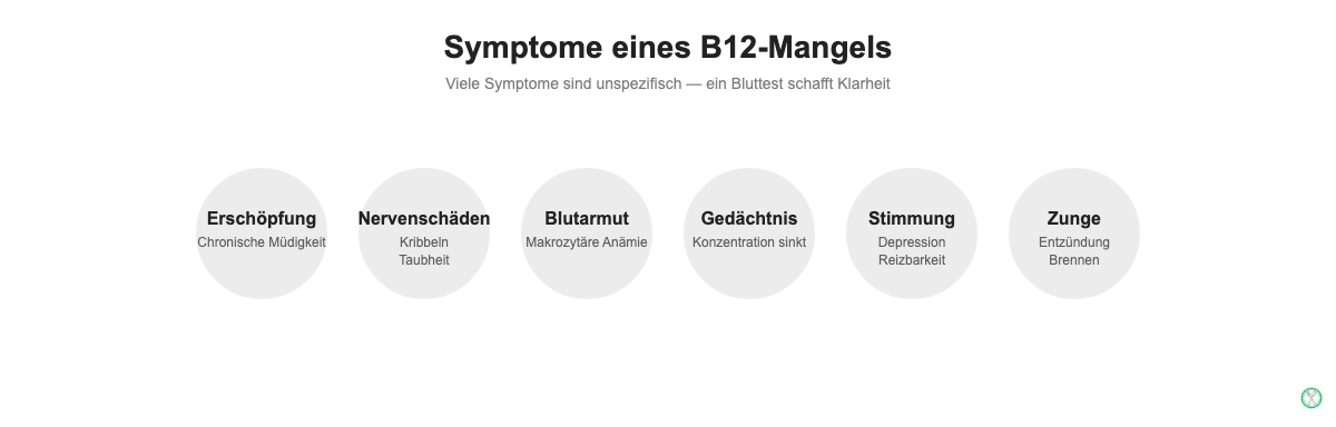 Symptome eines B12-Mangels: Erschöpfung, Nervenschäden, Blutarmut, Gedächtnisprobleme, Stimmungsschwankungen, Zungenentzündung