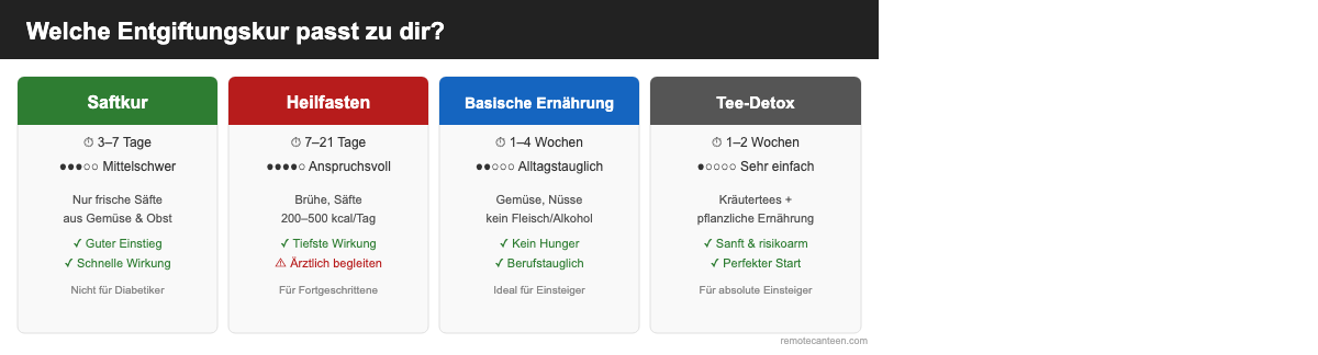 Infografik: Vergleich der 4 Entgiftungsmethoden Saftkur, Heilfasten, basische Ernährung und Tee-Detox