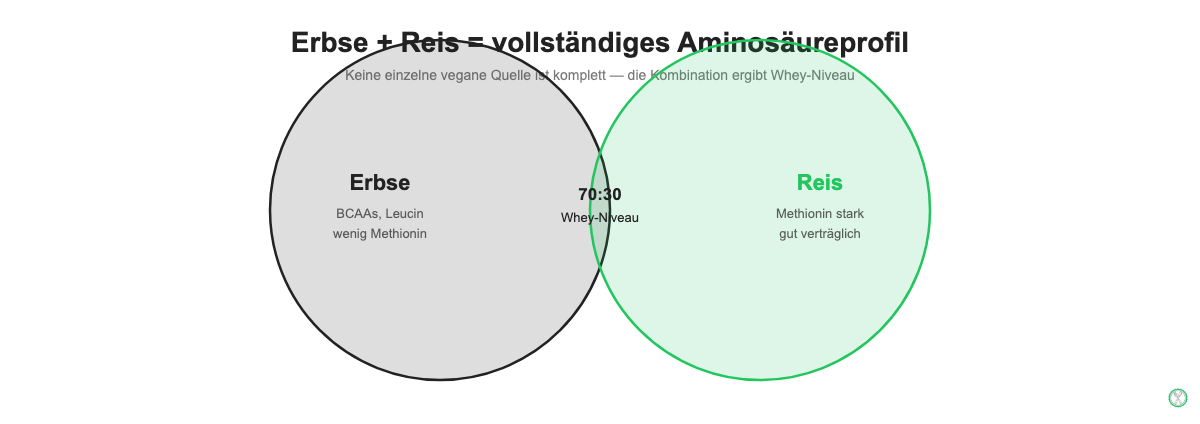 Venn-Diagramm: Erbsenprotein und Reisprotein im 70:30-Verhältnis ergibt vollständiges Aminosäureprofil