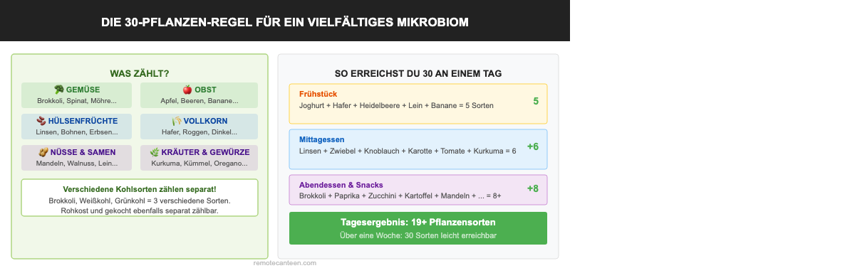 Infografik: Die 30-Pflanzen-Regel – Was zählt und wie du an einem Tag 19+ Pflanzensorten erreichst