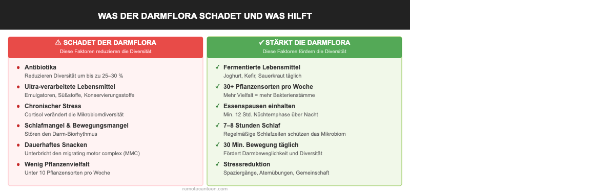 Infografik: Was der Darmflora schadet und was hilft – Störfaktoren und Förderfaktoren im Vergleich
