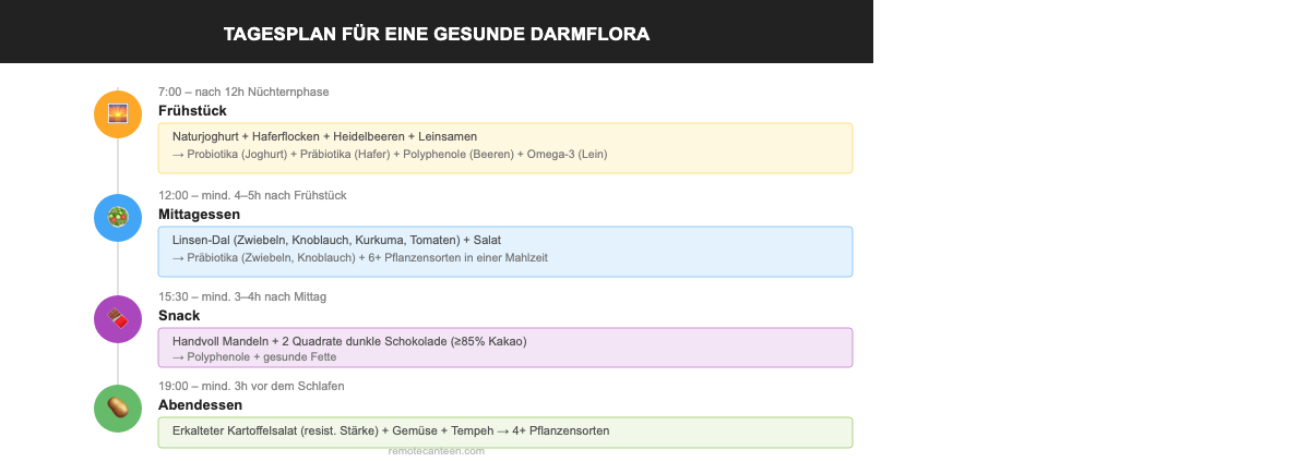 Infografik: Tagesplan für eine gesunde Darmflora mit Frühstück, Mittagessen, Snack und Abendessen