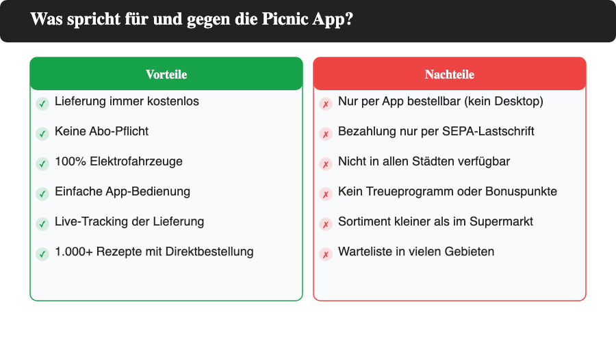 Infografik: Vorteile und Nachteile der Picnic App im Überblick