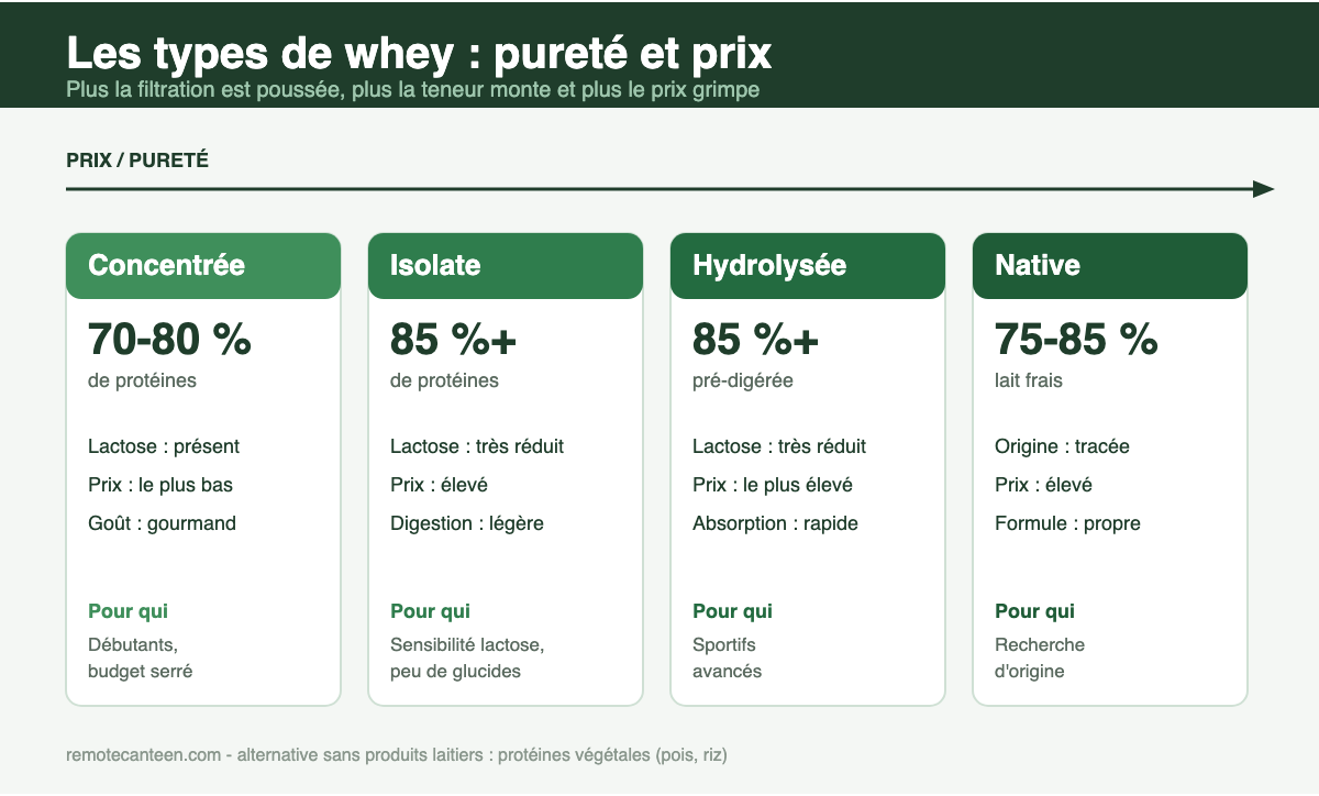 Infographie comparant les types de whey : concentrée, isolate, hydrolysée et native selon la pureté et le prix