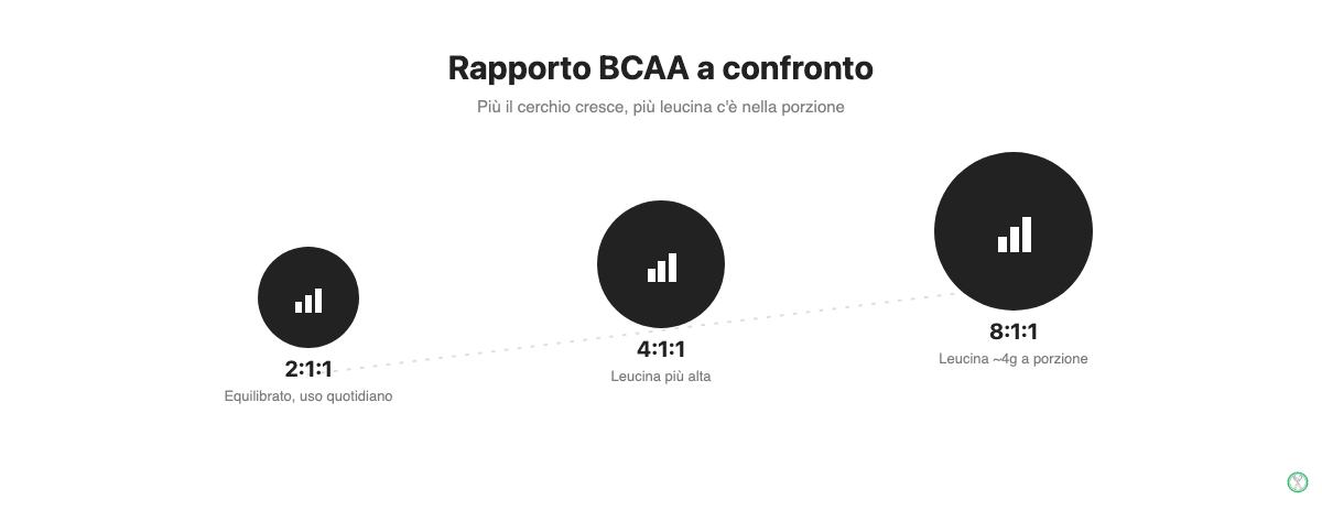 Confronto tra i rapporti BCAA 2:1:1, 4:1:1 e 8:1:1 e quanta leucina cambia in ogni porzione
