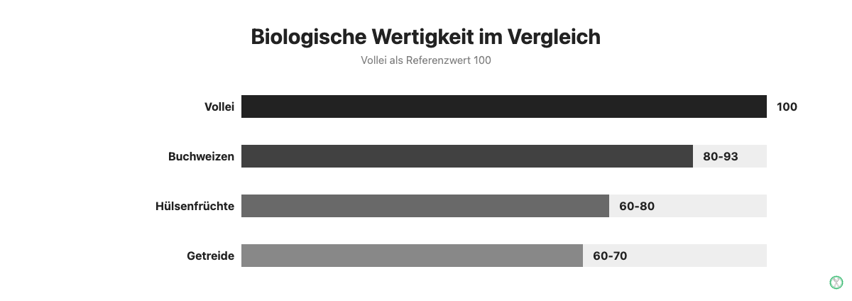 Vergleich der biologischen Wertigkeit von Vollei, Buchweizen, Hülsenfrüchten und Getreide