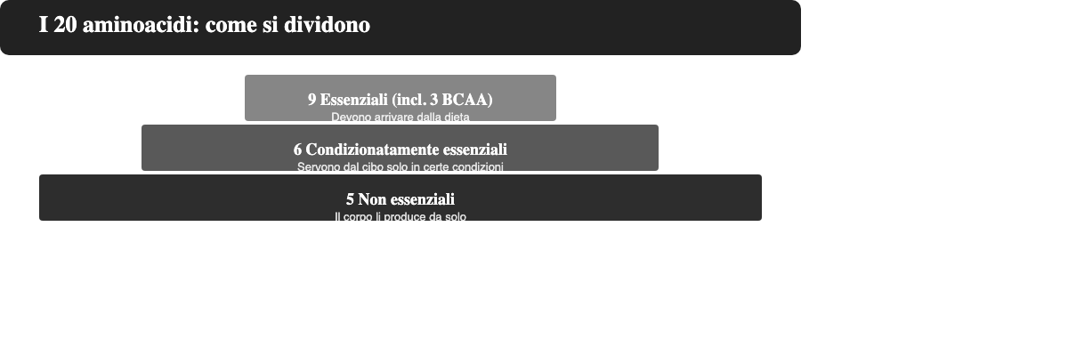 Piramide che mostra la classificazione dei 20 aminoacidi in essenziali (9), condizionatamente essenziali (6) e non essenziali (5)