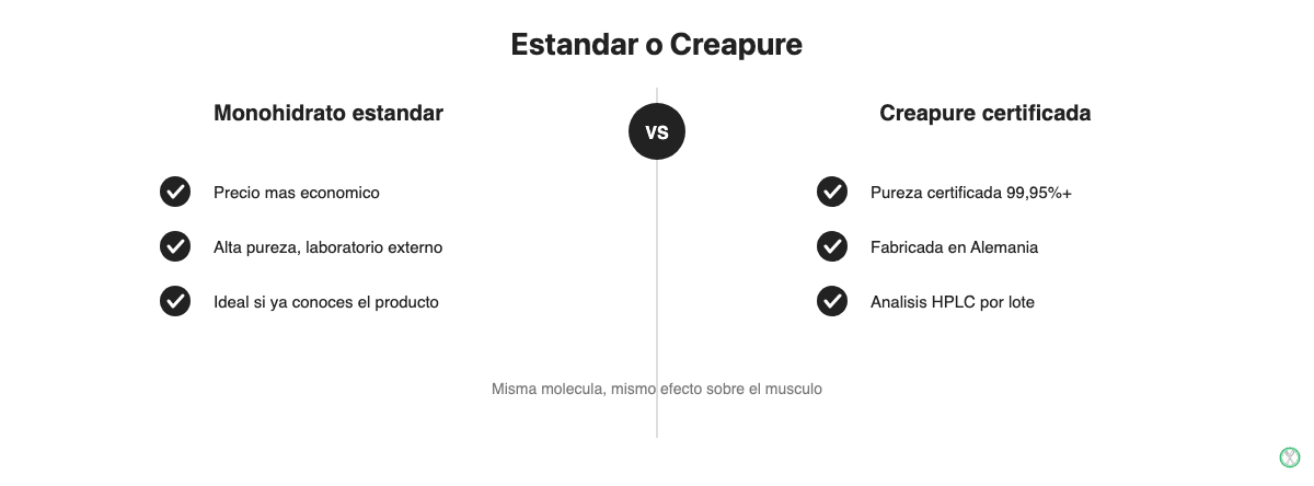 Comparacion entre creatina monohidrato estandar y Creapure de HSN