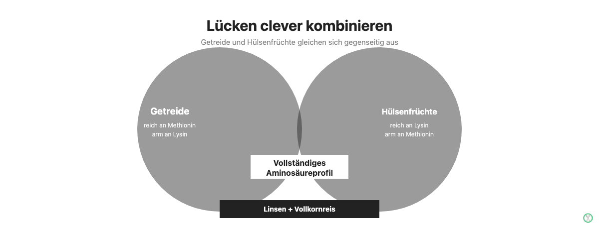 Kombination von Hülsenfrüchten und Getreide gleicht die limitierende Aminosäure aus