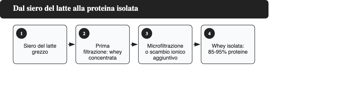 Infografica del processo di filtrazione dal siero del latte alla proteina isolata