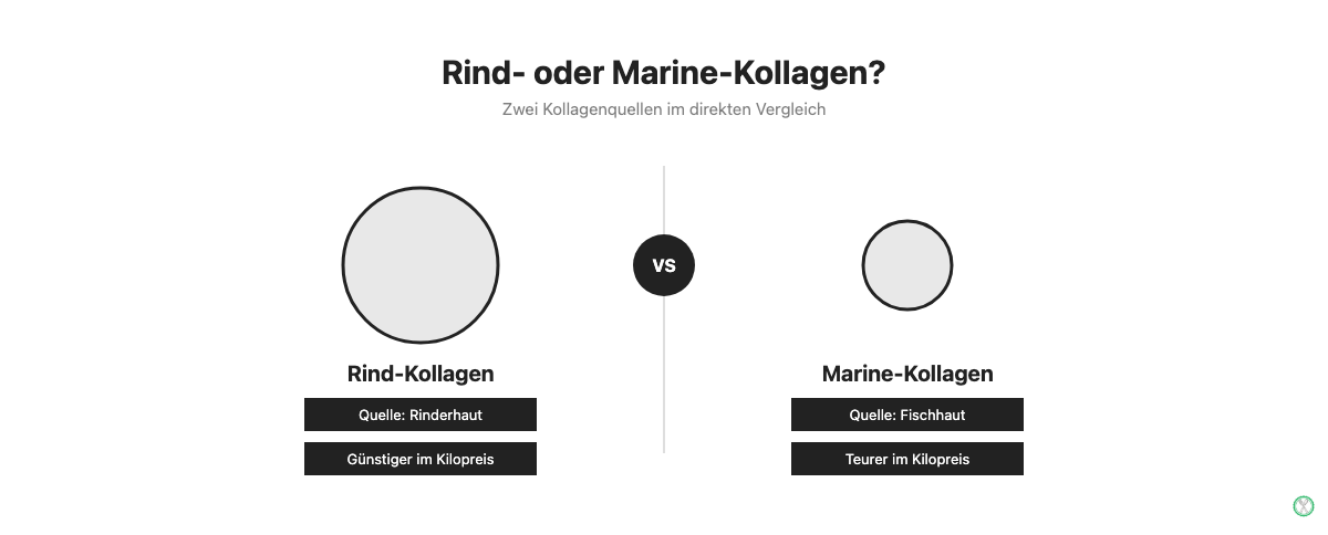 Vergleichsgrafik Rind-Kollagen und Marine-Kollagen nach Quelle und Kilopreis