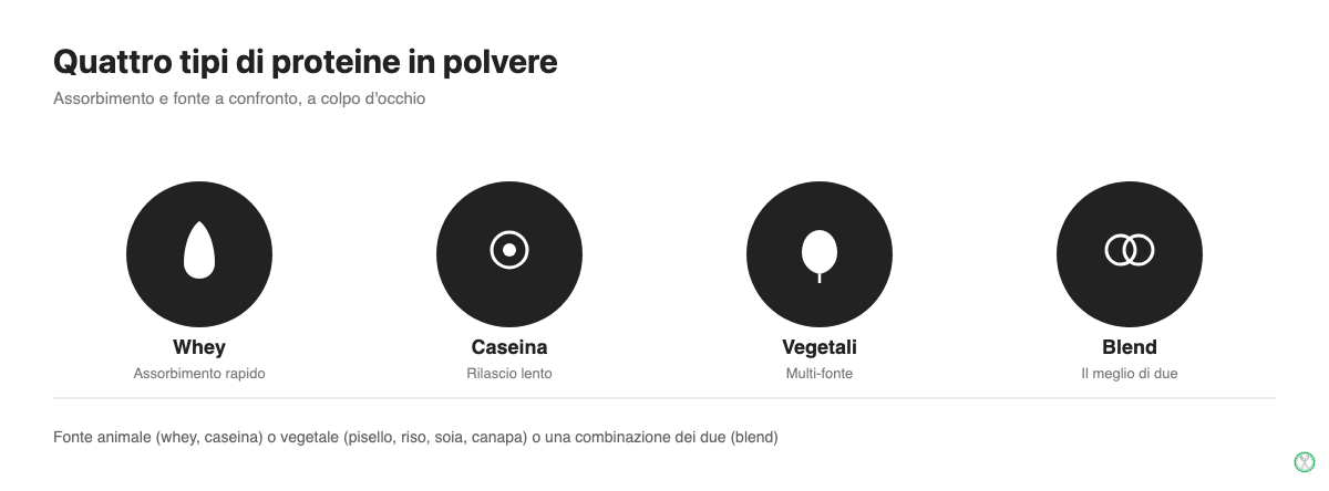 Confronto illustrato tra whey, caseina, proteine vegetali e blend proteici