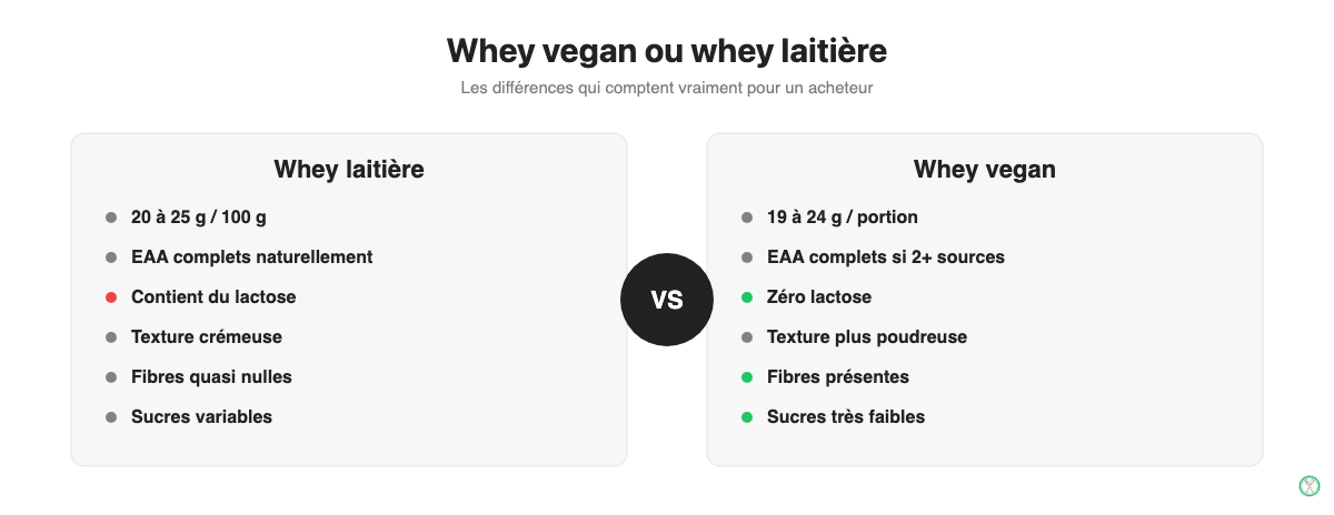 Comparatif whey vegan et whey laitiere : proteines, lactose, texture et fibres