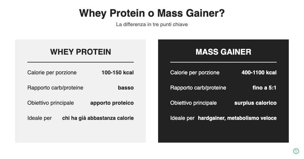 Confronto tra whey protein e mass gainer: calorie per porzione, rapporto carboidrati proteine e a chi sono adatti