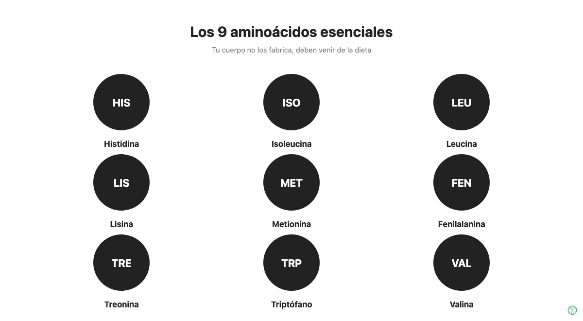 Los 9 aminoácidos esenciales que el cuerpo no fabrica y debe obtener de la dieta
