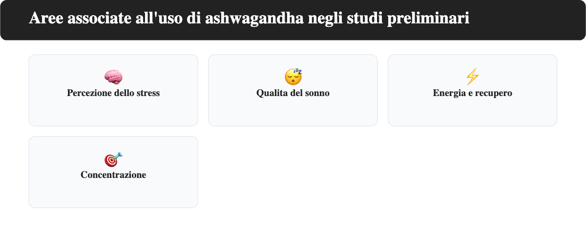 Quattro aree (percezione dello stress, qualita del sonno, energia e recupero, concentrazione) associate in studi preliminari a estratti standardizzati di ashwagandha