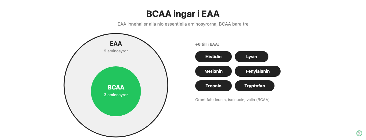 BCAA och EAA aminosyror: BCAA ar tre av EAA:s nio essentiella aminosyror
