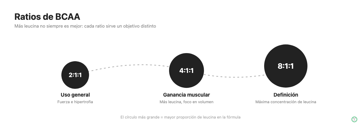 Comparación de los ratios de BCAA 2:1:1, 4:1:1 y 8:1:1 y su uso recomendado