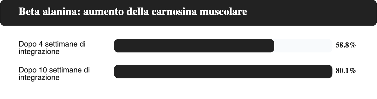 Grafico a barre orizzontali che mostra l'aumento della carnosina muscolare misurato nello studio di Hill e colleghi (2007): +58,8% dopo 4 settimane e +80,1% dopo 10 settimane di integrazione con beta alanina