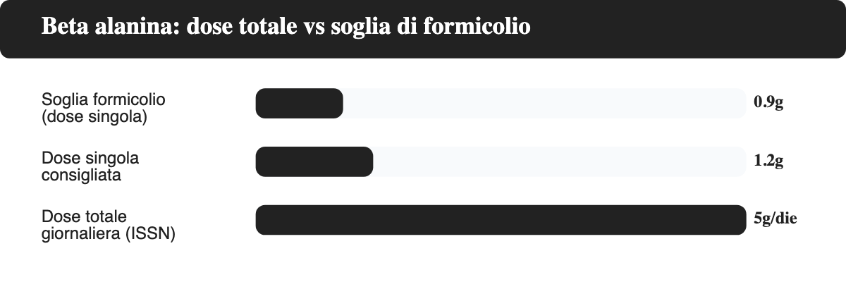 Grafico a barre orizzontali che confronta la soglia tipica di formicolio (0,9 g in dose singola), la dose singola consigliata quando frazionata (1,2 g) e la dose totale giornaliera raccomandata dall'ISSN (5 g/die) per la beta alanina