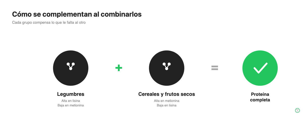 Cómo combinar legumbres con cereales o frutos secos para cubrir los 9 aminoácidos esenciales