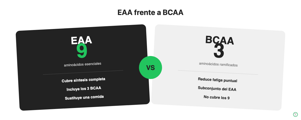 Comparación entre un suplemento EAA de 9 aminoácidos y un BCAA de 3 aminoácidos