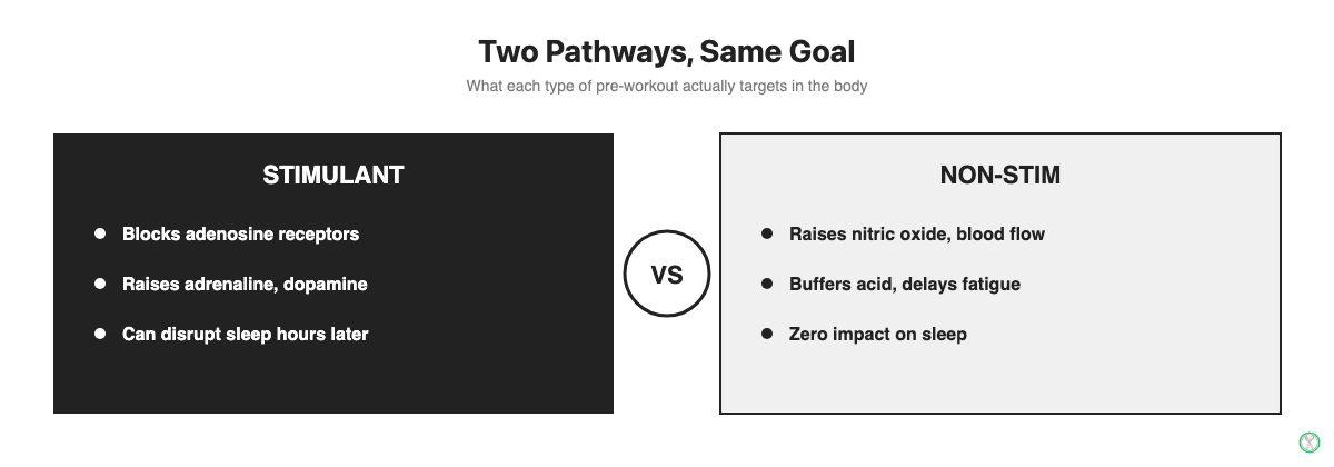 Comparison of what non-stim and stimulant pre-workout formulas each target in the body
