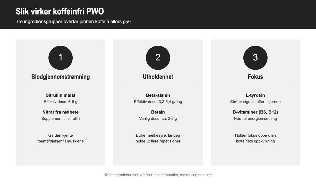 Infografikk som viser tre ingrediensgrupper i koffeinfri pre workout: sitrullin malat og nitrat for blodgjennomstrømning, beta-alanin og betain for utholdenhet, tyrosin og B-vitaminer for fokus