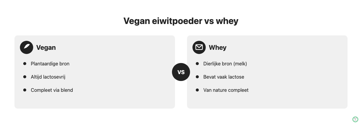 Vergelijking tussen vegan eiwitpoeder en whey op bron, lactose en aminozuurprofiel