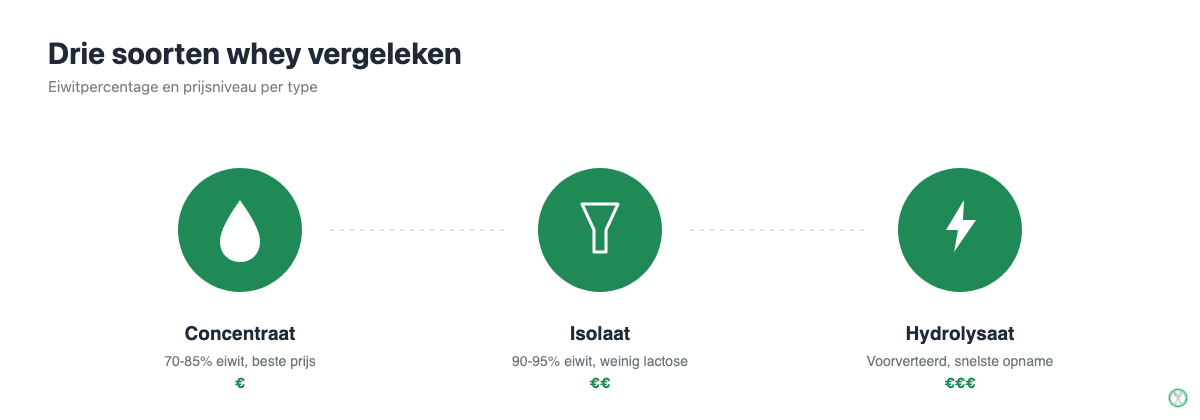 Vergelijking van whey concentraat, whey isolaat en whey hydrolysaat op eiwitpercentage en prijs